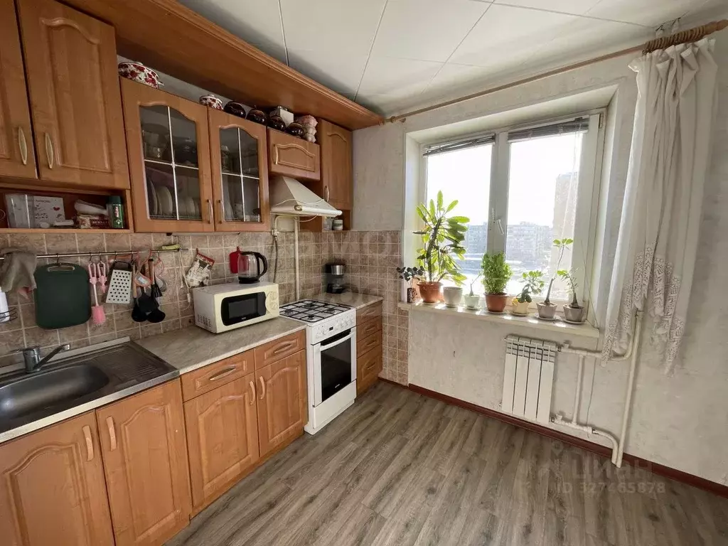 1-к кв. Оренбургская область, Оренбург Ноябрьская ул., 52 (33.4 м) - Фото 1