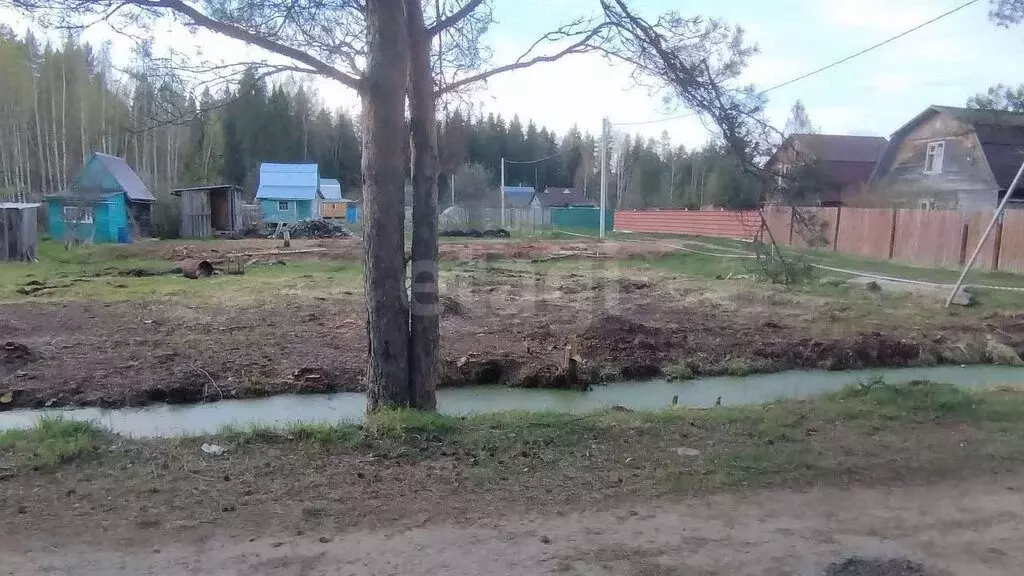 Участок в Ярославский муниципальный округ, СТ Молния (10.5 м) - Фото 1