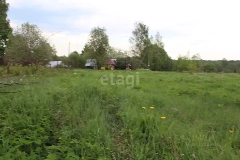 Участок в Вологодская область, Череповецкий район, Ягановское с/пос, ... - Фото 1