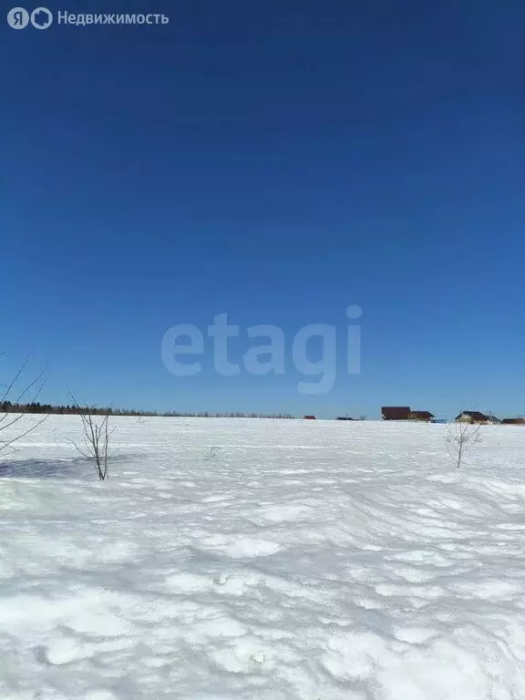 Участок в Пермский муниципальный округ, деревня Горская, коллективные ... - Фото 2