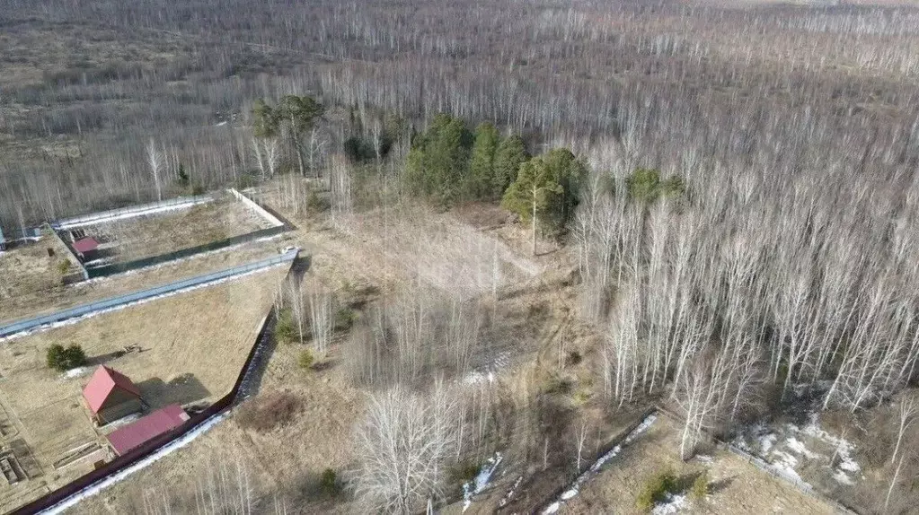 Участок в Тюменская область, Нижнетавдинский муниципальный округ, пос. ... - Фото 2