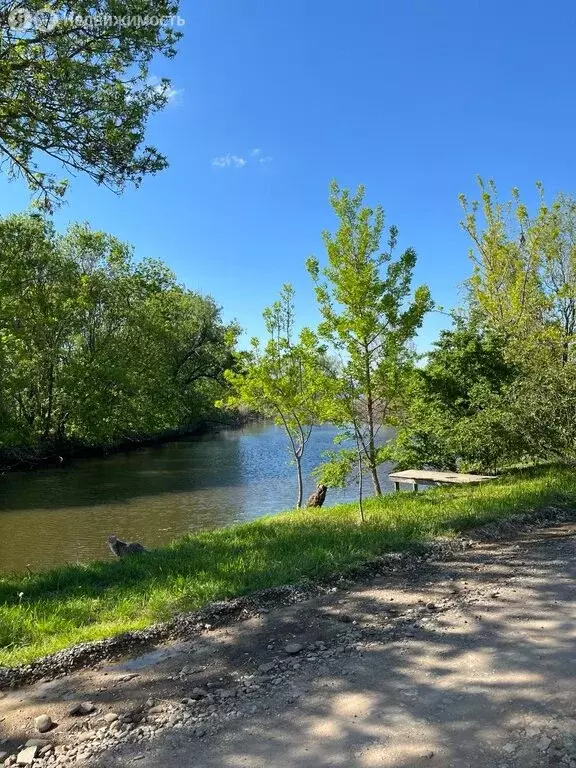 Участок в село Михайловское, Южная улица (25 м) - Фото 0