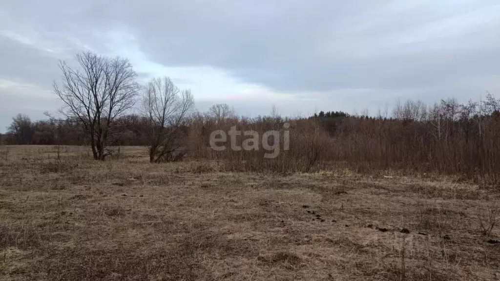 Участок в Башкортостан, Уфимский район, Чесноковский сельсовет, д. ... - Фото 0