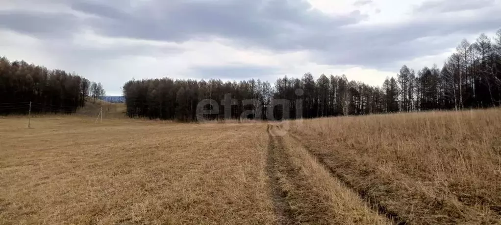 Участок в Алтай, Усть-Канский район, с. Владимировка  (2950.0 сот.) - Фото 1