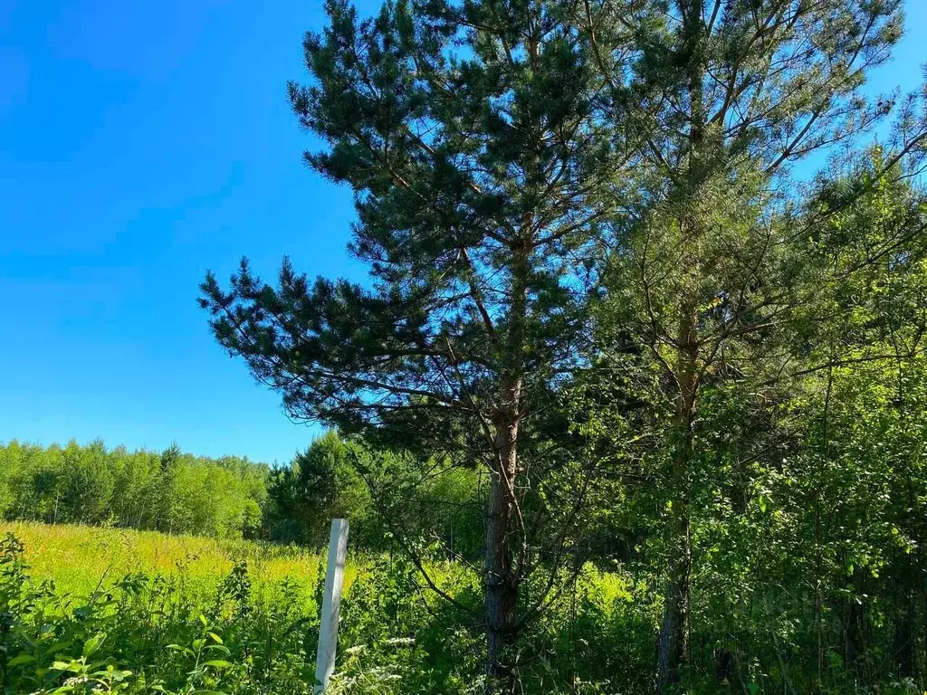 Участок в Тульская область, Заокский район, Страховское с/пос, д. ... - Фото 1