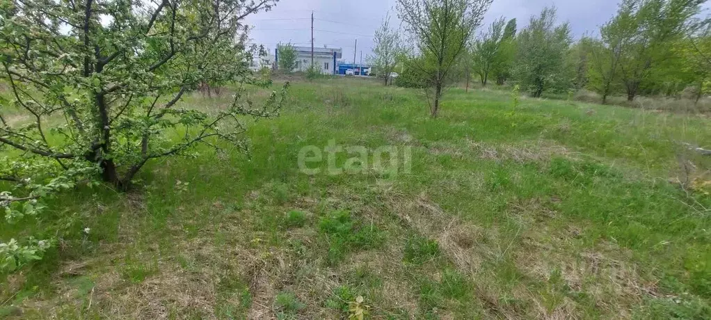 Участок в Воронежская область, Борисоглебск Дорожная ул. (15.6 сот.) - Фото 0