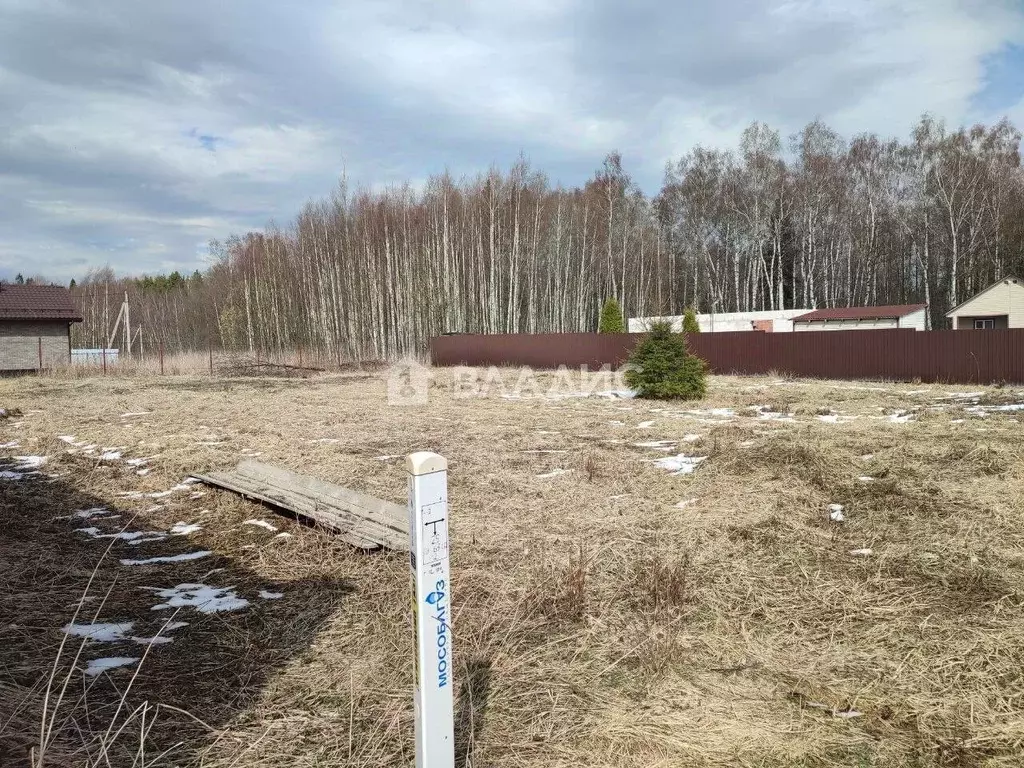 Участок в Московская область, Богородский городской округ, с. ... - Фото 0