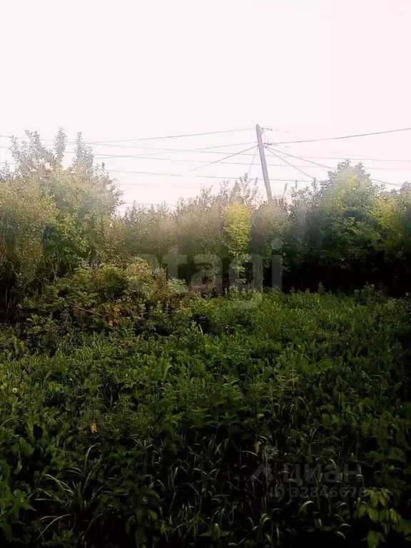 Дом в Кемеровская область, Кемерово Садоводов-любителей Южное ... - Фото 2
