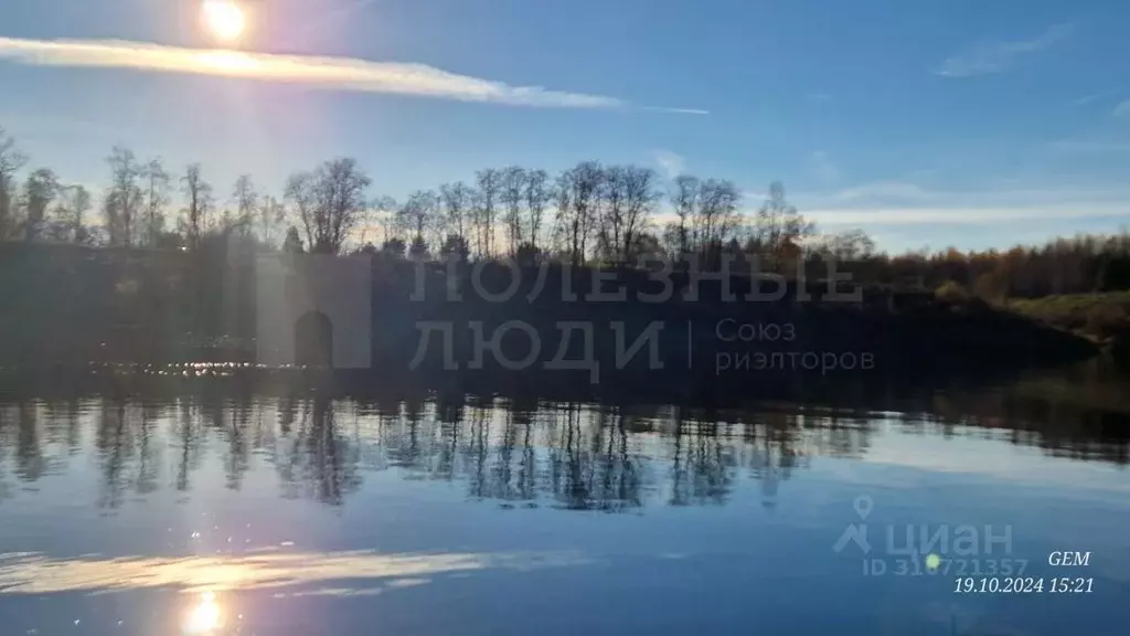 Участок в Новгородская область, Маловишерский район, Бургинское с/пос, ... - Фото 0