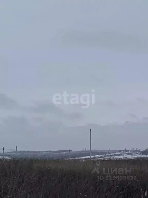Участок в Белгородская область, Белгородский район, Головинское с/пос, ... - Фото 0