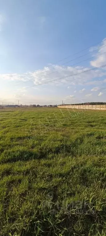 Участок в Воронежская область, Воронеж ул. Лесная, 137 (8.0 сот.) - Фото 0