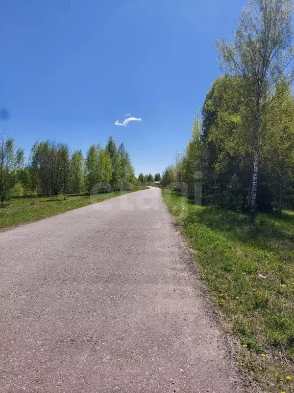 Участок в Костромская область, Кострома Мебельщик садоводческое ... - Фото 1