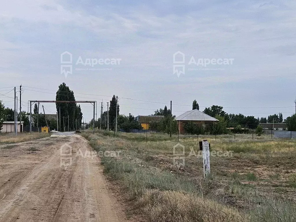 Участок в Волгоградская область, Среднеахтубинский район, Рахинское ... - Фото 1