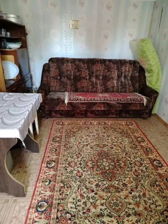 Дом в Омская область, Омск пос. Черемушки, 682 (32 м) - Фото 2