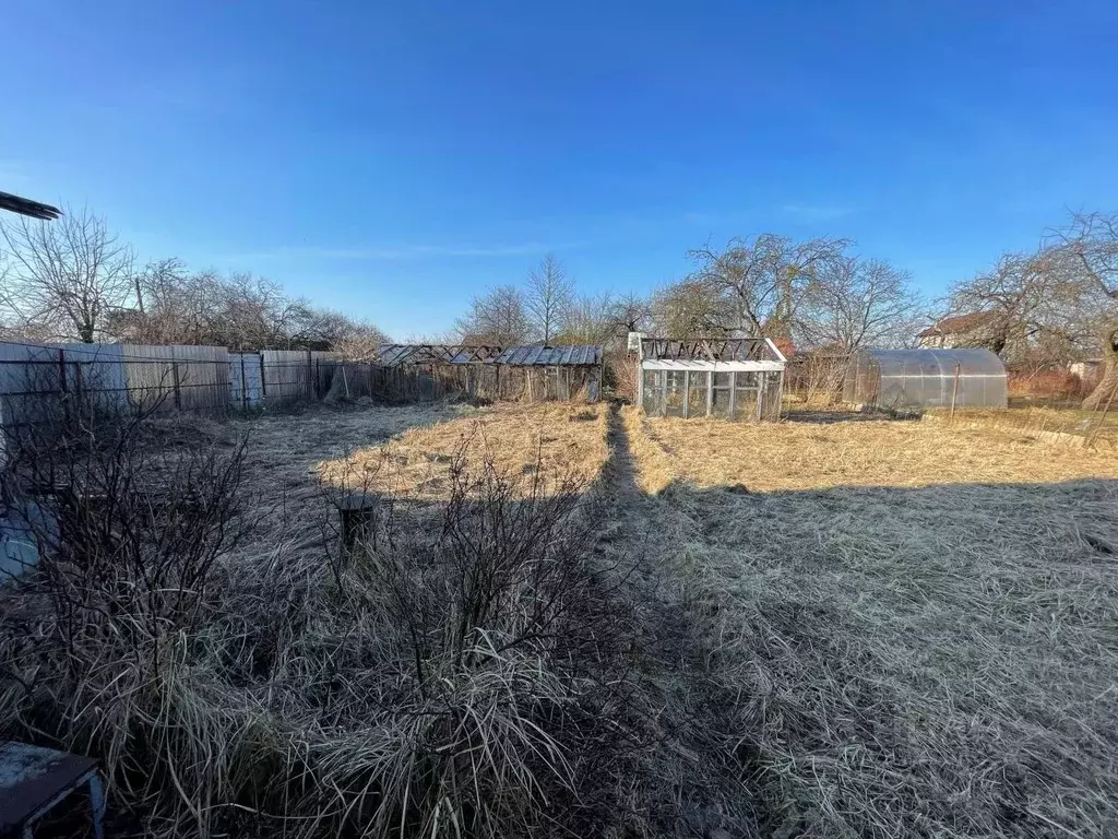 Участок в Калининградская область, Калининград Победа садовое ... - Фото 1