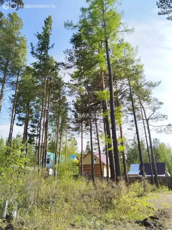 Участок в село Горячинск, Сосновая улица, 28 (6 м) - Фото 1