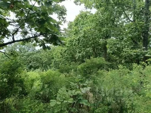Участок в Приморский край, Находка Поселок Ливадия мкр,  (2500.0 сот.) - Фото 1