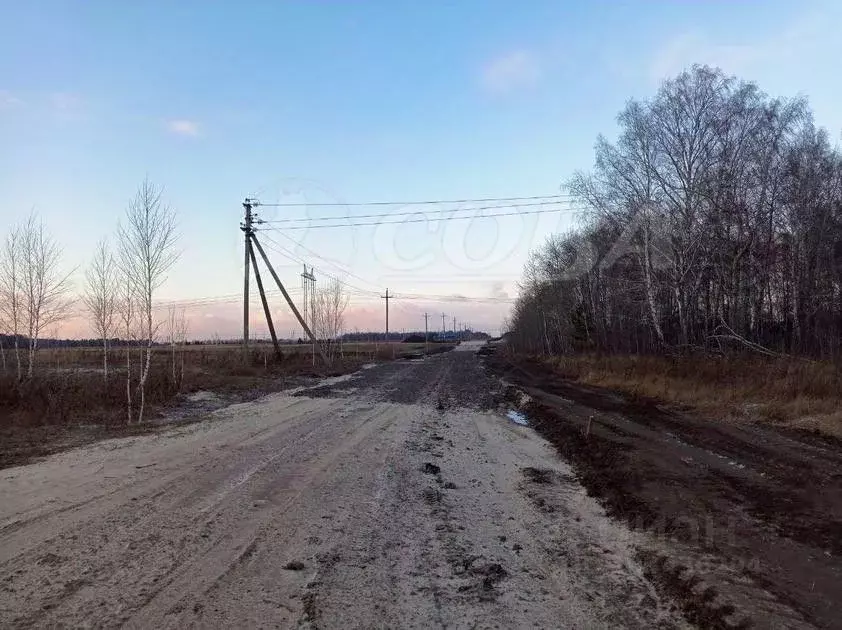 Участок в Тюменская область, Тюменский район, с. Каменка  (7.5 сот.) - Фото 1