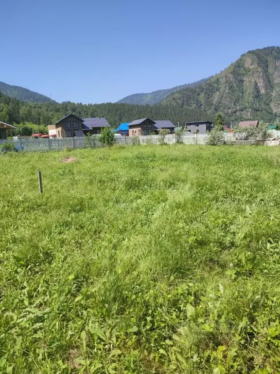 Участок в Алтай, Чемальский район, с. Чемал  (11.0 сот.) - Фото 0