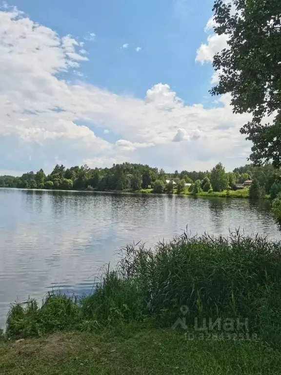 Участок в Владимирская область, Петушинский муниципальный округ, д. ... - Фото 1