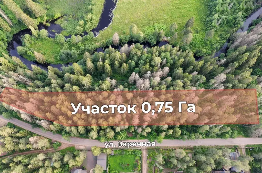 Участок в Ленинградская область, Выборгский район, Рощино пгт ул. ... - Фото 1