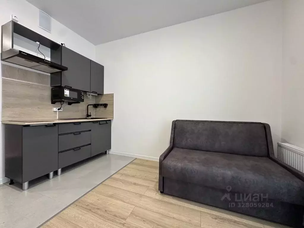 Студия Ленинградская область, Ломоносовский район, Лаголовское с/пос, ... - Фото 1