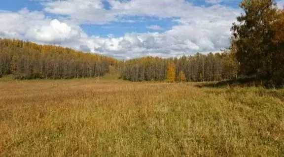 Участок в Алтай, Усть-Канский район, с. Владимировка  (85.0 сот.) - Фото 1