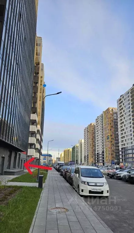 Торговая площадь в Ленинградская область, Мурино Всеволожский район, ... - Фото 0