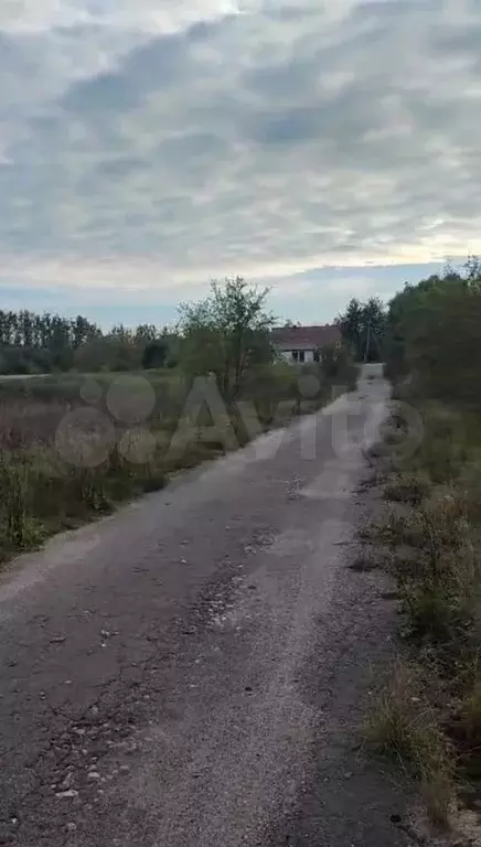 Участок 12 сот. (ИЖС) - Фото 1