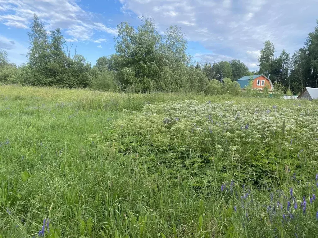 Участок в Ленинградская область, Приозерский район, Мельниковское ... - Фото 0