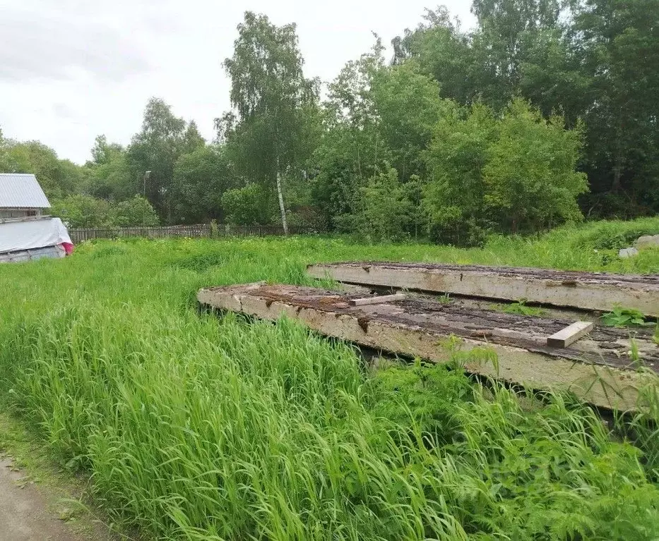 Участок в Московская область, Орехово-Зуевский городской округ, д. ... - Фото 1