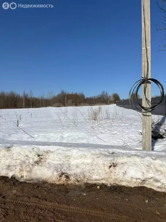 Участок в Вологодская область, Череповецкий муниципальный округ, село ... - Фото 2
