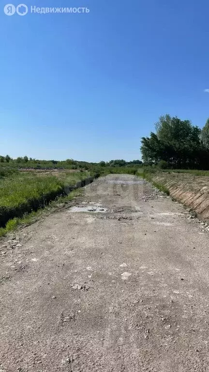 Участок в Калининградская область, Гурьевский муниципальный округ, ... - Фото 1
