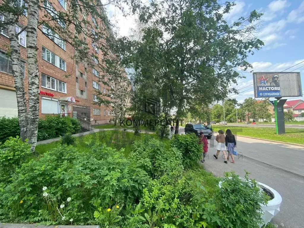 Торговая площадь в Нижегородская область, Нижний Новгород ул. ... - Фото 2