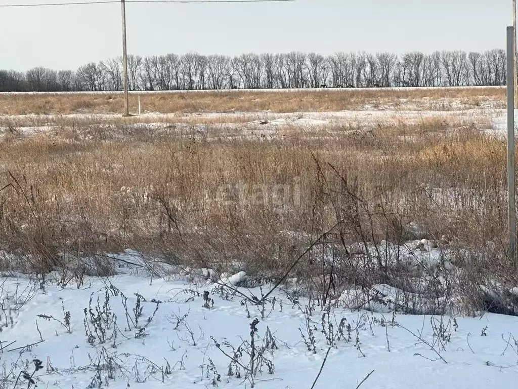 Участок 10,2 сот. (ИЖС) - Фото 1