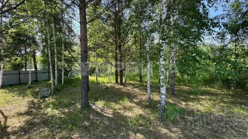 Участок в Тюменская область, Нижнетавдинский муниципальный округ, ... - Фото 1