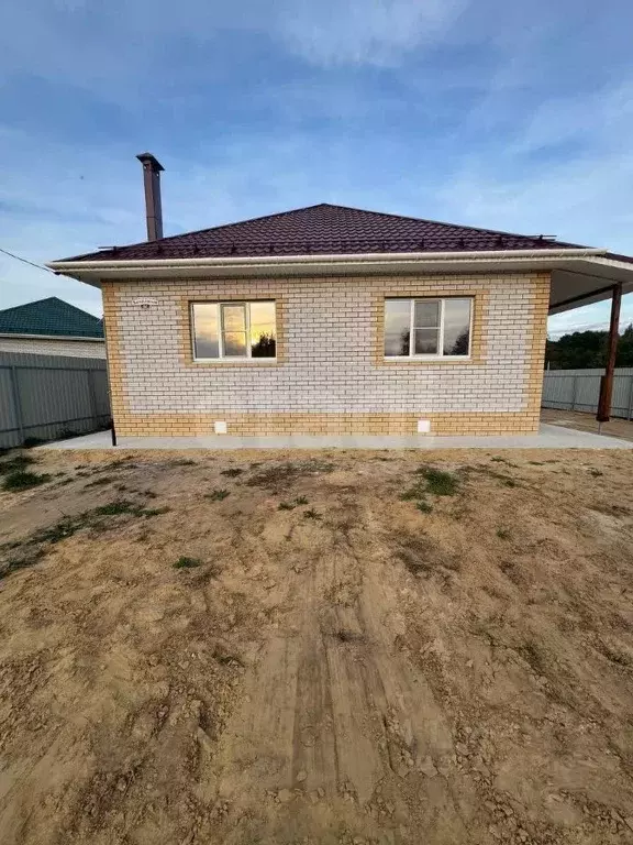 Дом в Нижегородская область, Выкса городской округ, с. Борковка, ... - Фото 1