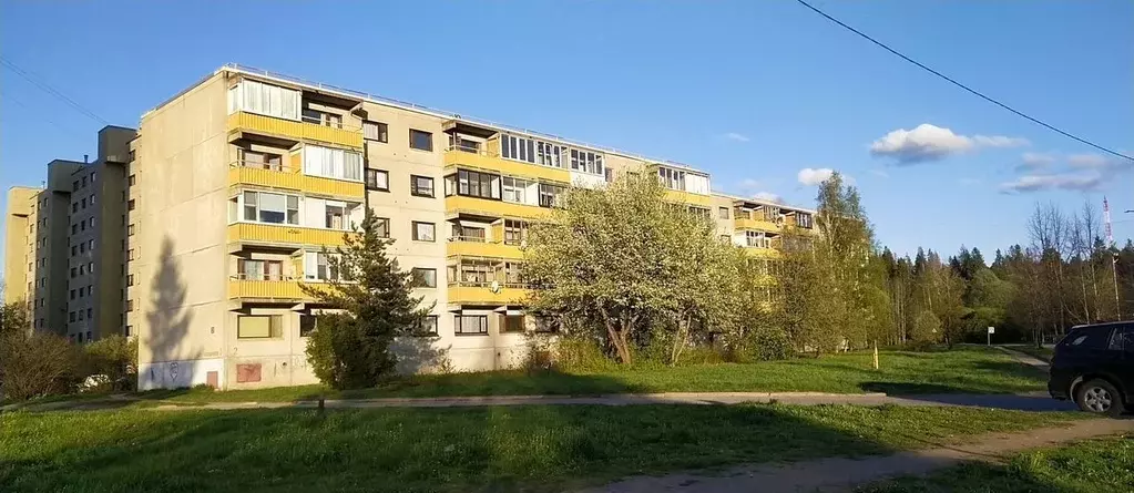 3-к кв. Ленинградская область, Светогорск Выборгский район, ... - Фото 1