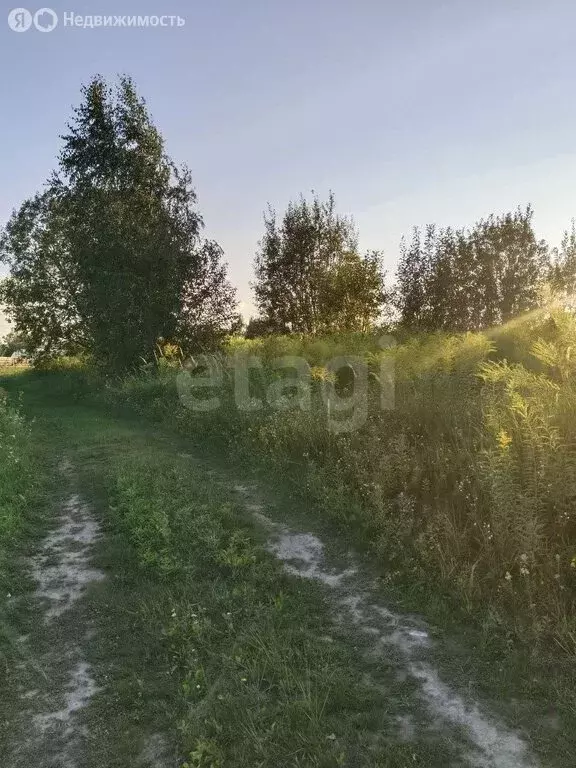 Участок в посёлок Верный Путь, садоводческое объединение Урожайное (5 ... - Фото 0