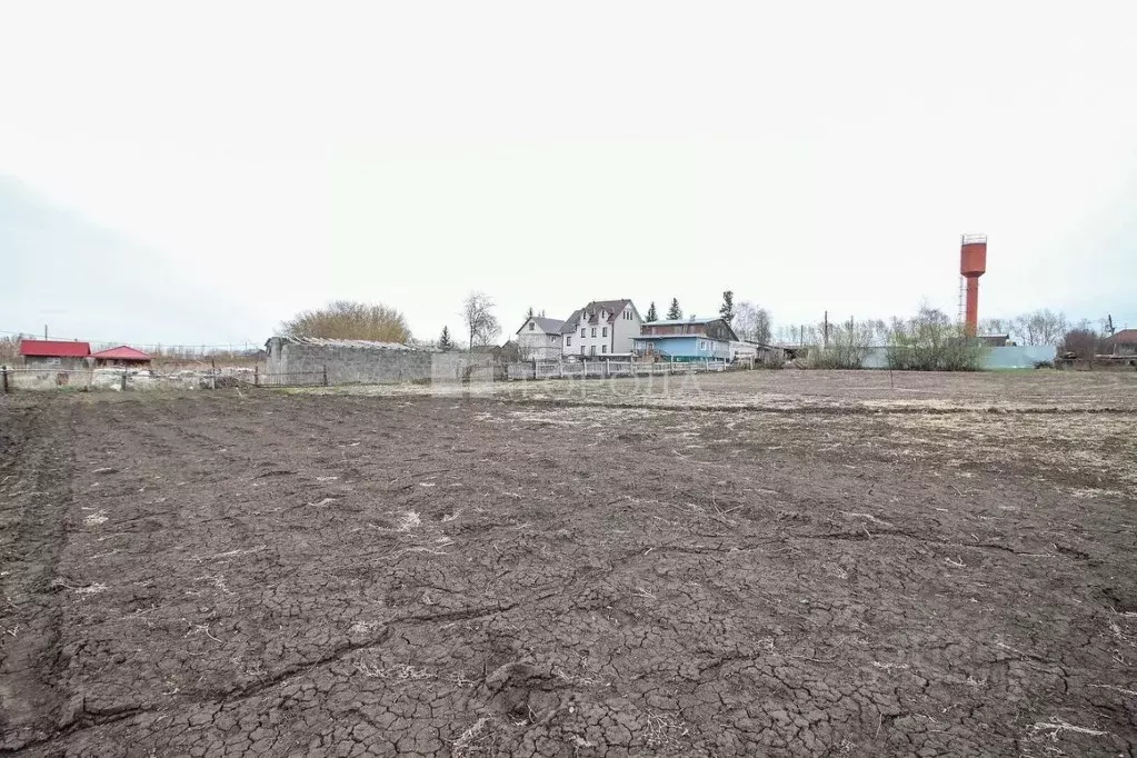 Участок в Алтайский край, Барнаул муниципальное образование, пос. ... - Фото 0
