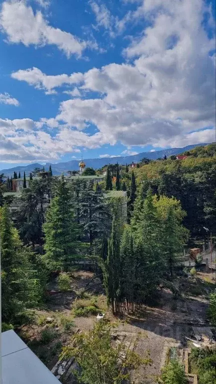 2-к кв. Крым, Ялта ул. Дражинского, 48 (40.6 м) - Фото 2