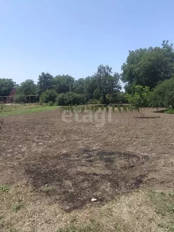 Участок в Краснодарский край, Ейский район, Кухаривское с/пос, ... - Фото 2