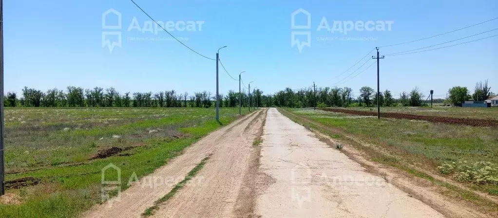 Участок в Волгоградская область, Волгоград Поселок имени Гули ... - Фото 2