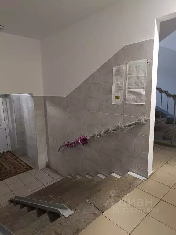 1-к кв. Красноярский край, Сосновоборск Весенняя ул., 10 (40.5 м) - Фото 2