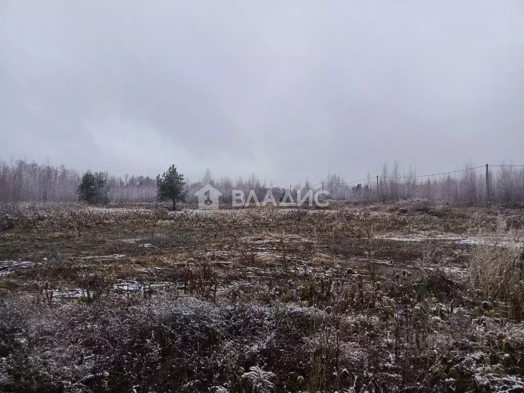 Участок в Нижегородская область, Кстовский муниципальный округ, с. ... - Фото 1