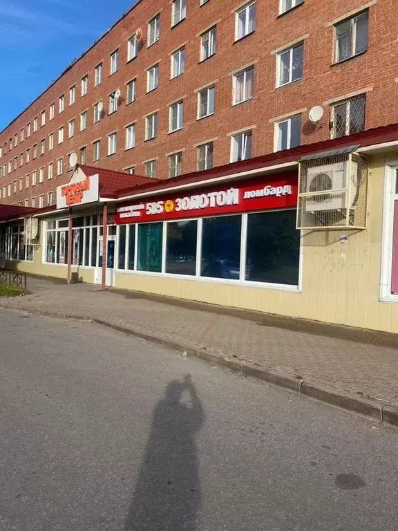 Торговая площадь в Ленинградская область, Сланцы ул. Ленина, 11 (50 м) - Фото 1