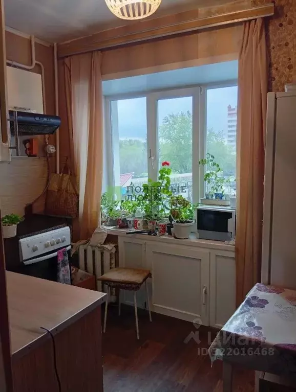 2-к кв. Курганская область, Курган ул. Пушкина, 49А (47.5 м) - Фото 1
