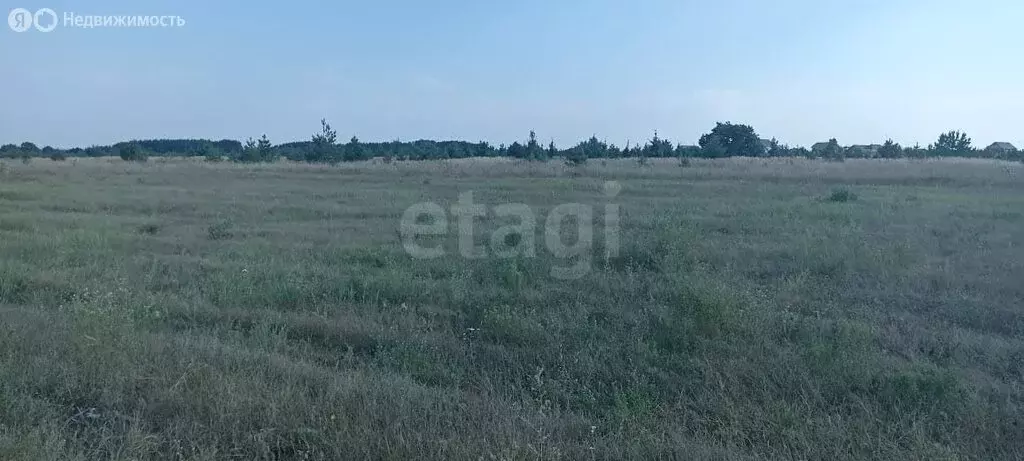 Участок в Тукаевский район, Биюрганское сельское поселение, деревня ... - Фото 2