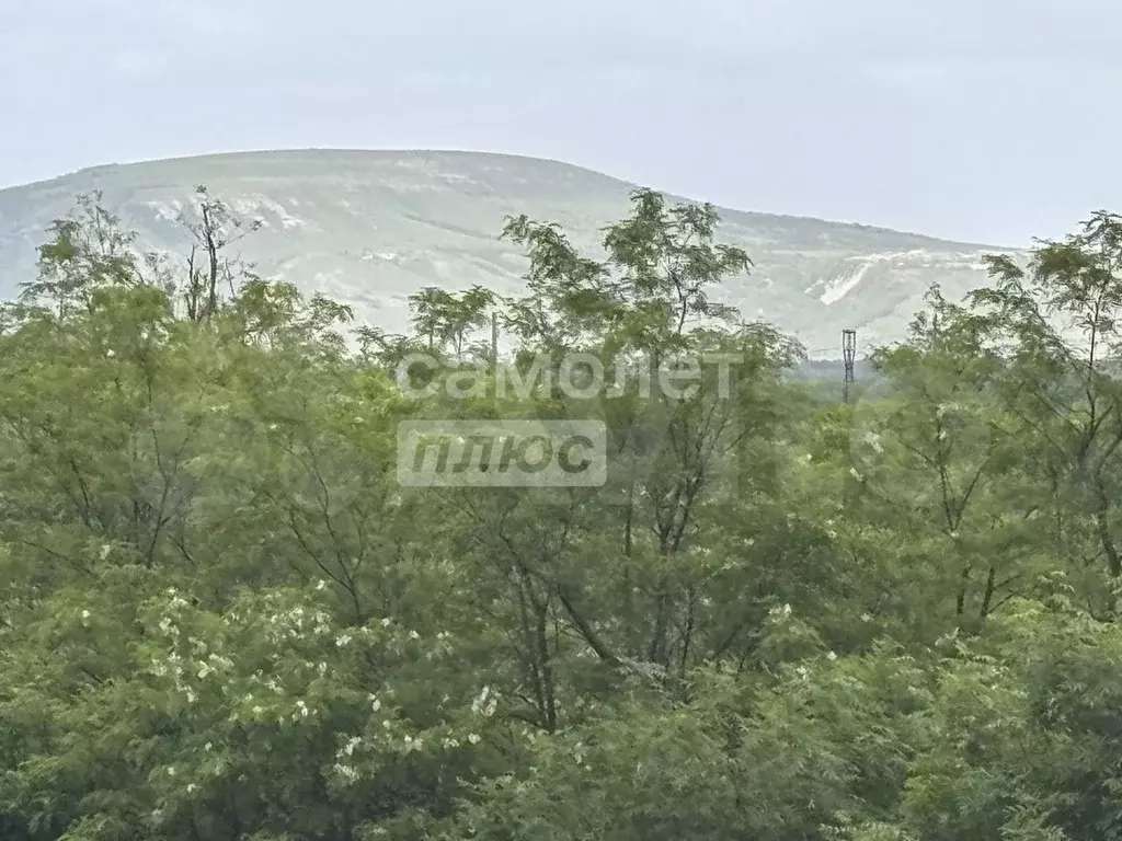Участок 80 сот. (СНТ, ДНП) - Фото 0