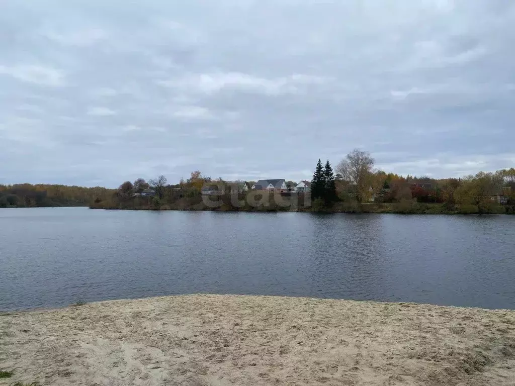 Участок в Брянская область, Жуковский муниципальный округ, с. Овстуг ... - Фото 1